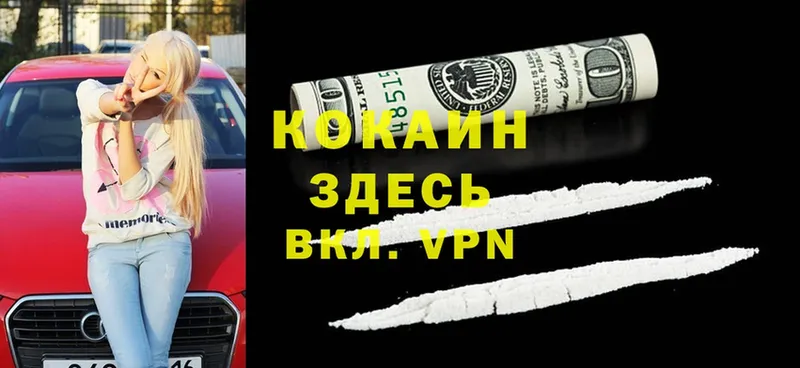 Cocaine FishScale  купить закладку  Алзамай 